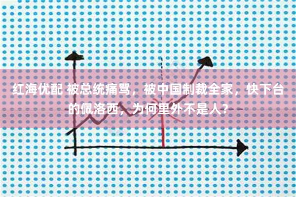 红海优配 被总统痛骂,被中国制裁全家,快下台的佩洛西,为何里外不是人?