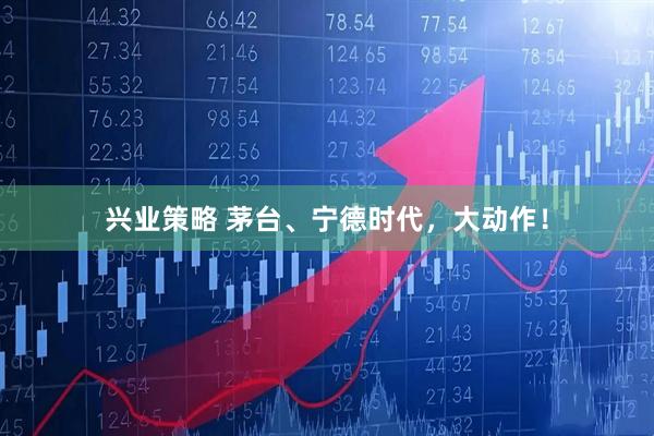 兴业策略 茅台、宁德时代，大动作！