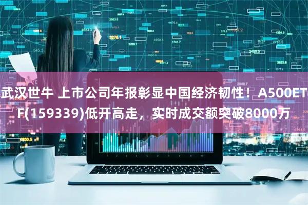 武汉世牛 上市公司年报彰显中国经济韧性！A500ETF(159339)低开高走，实时成交额突破8000万